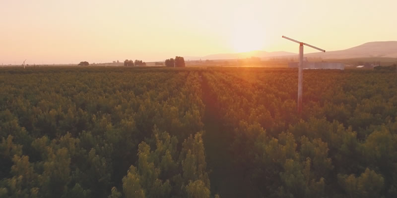 5 Reasons to Use Drone Footage in Your Next Video